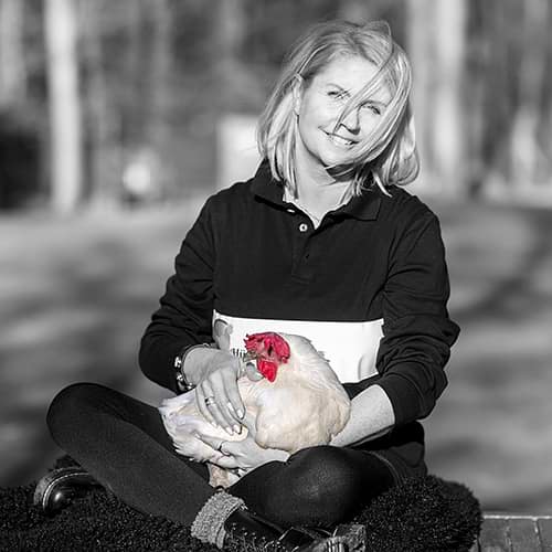 Hühnerrettung NRW - Abbildung Anja Borth