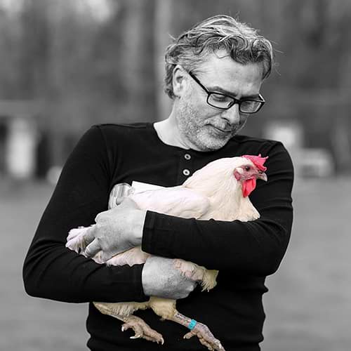 Hühnerrettung NRW - Abbildung Oliver Rott