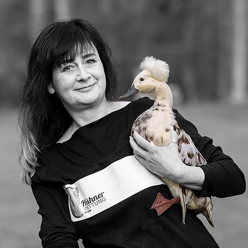 Hühnerrettung NRW - Abbildung Sandra Joeres