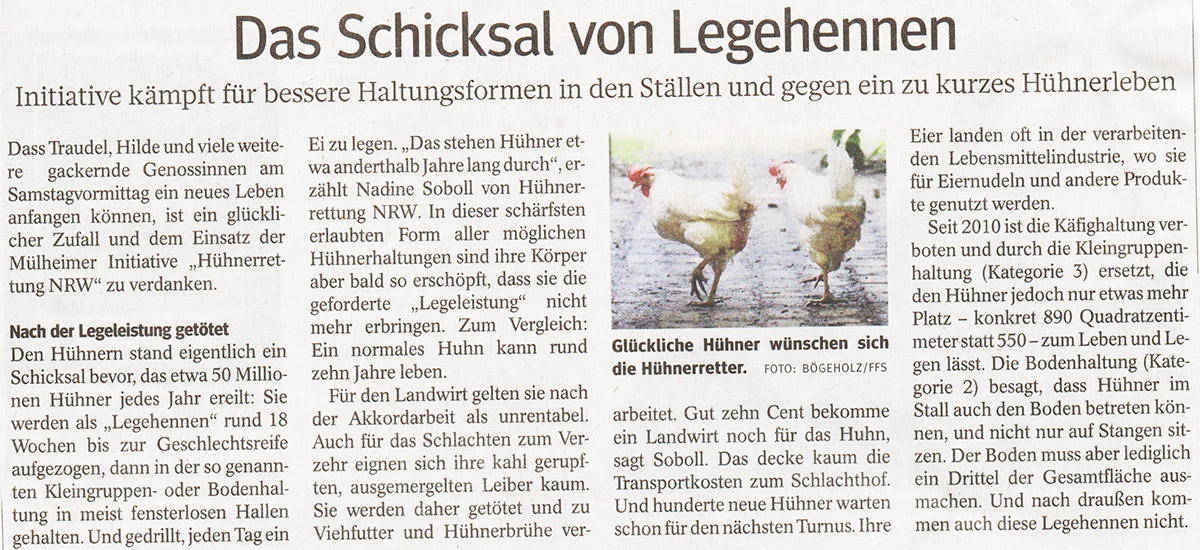 Zeitungsausschnitt Berichterstattung Hühnerrettung vom 11.7.2020